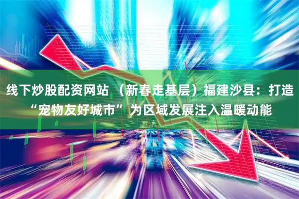 线下炒股配资网站 （新春走基层）福建沙县：打造“宠物友好城市” 为区域发展注入温暖动能