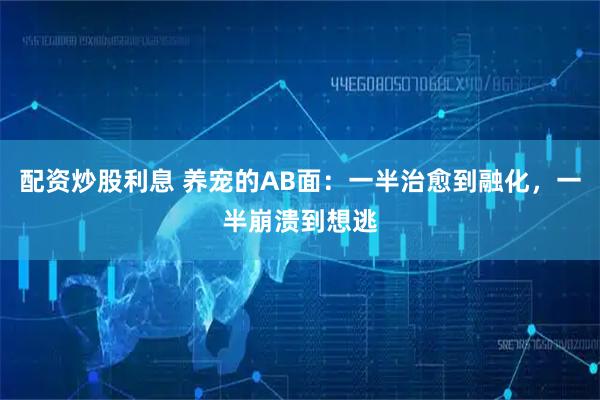 配资炒股利息 养宠的AB面:一半治愈到融化,一半崩溃到想逃